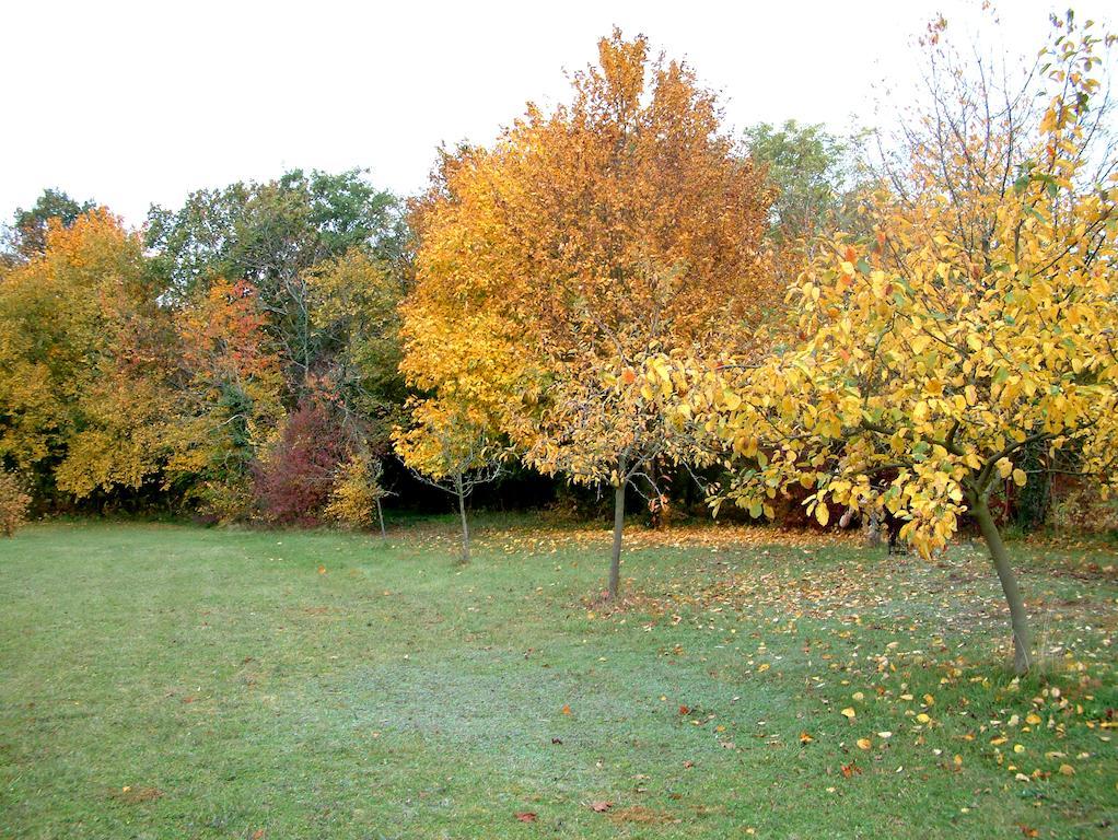 La Roseraie Neuville-du-Poitou Eksteriør bilde